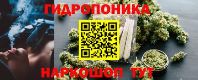 сатива Анжеро-Судженск