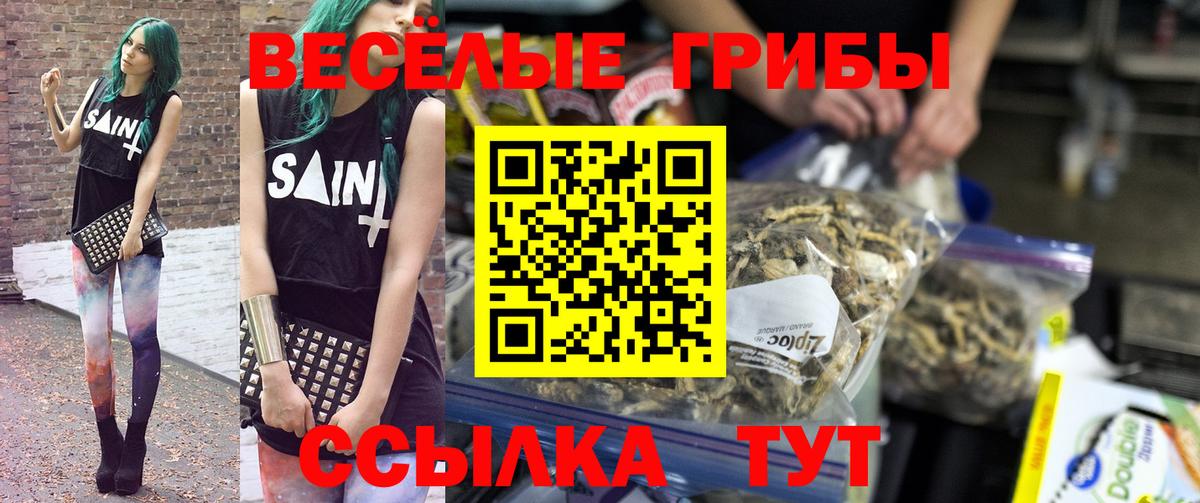 Галлюциногенные грибы Cubensis  Галлюциногенные грибы Psilocybine cubensis  Ессентуки  Вход с VPN 