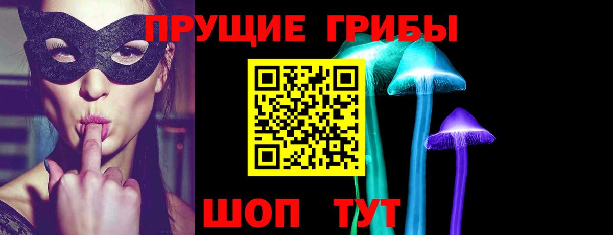 Псилоцибиновые грибы Psilocybe Ессентуки